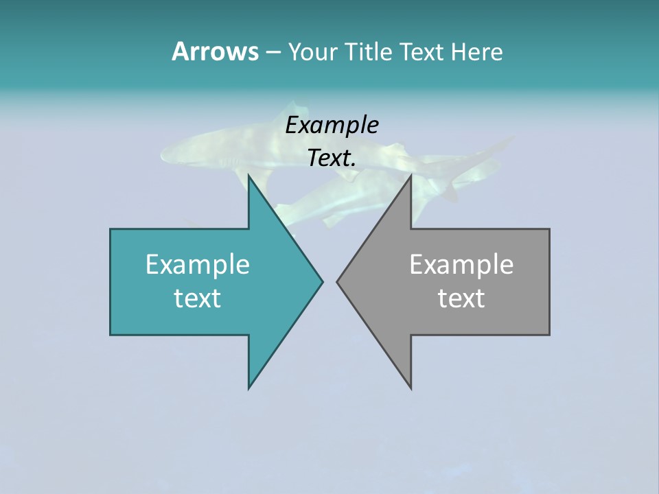 Pelagicos Azul Tiempo Libre PowerPoint Template