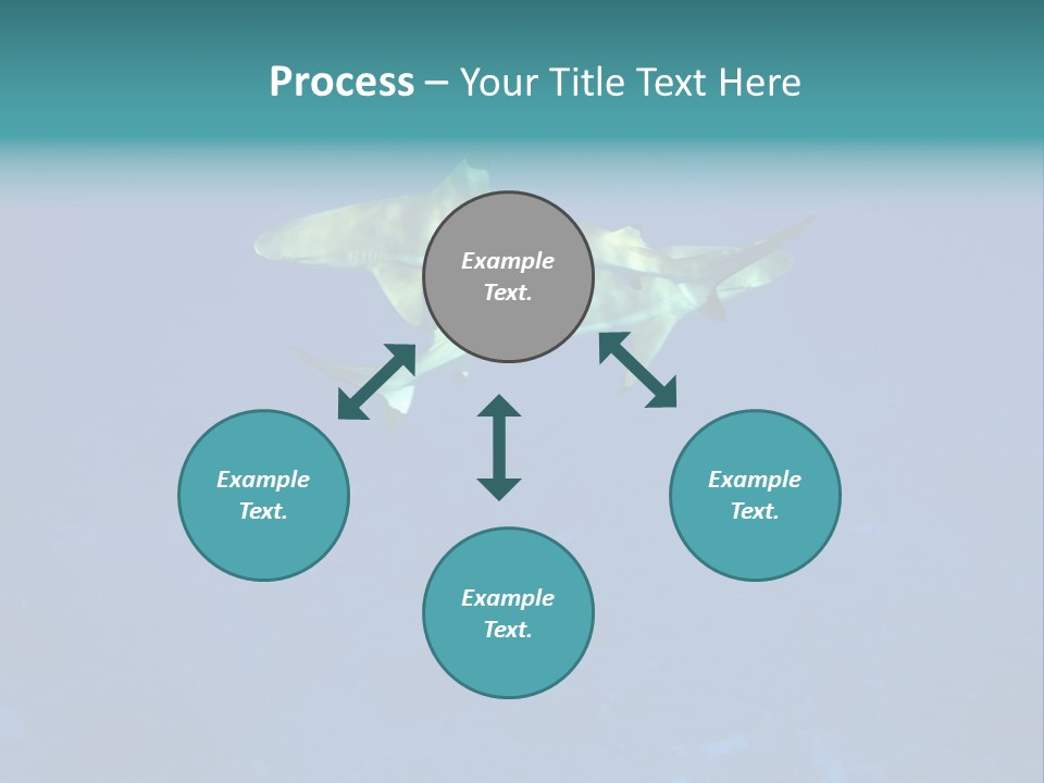 Pelagicos Azul Tiempo Libre PowerPoint Template