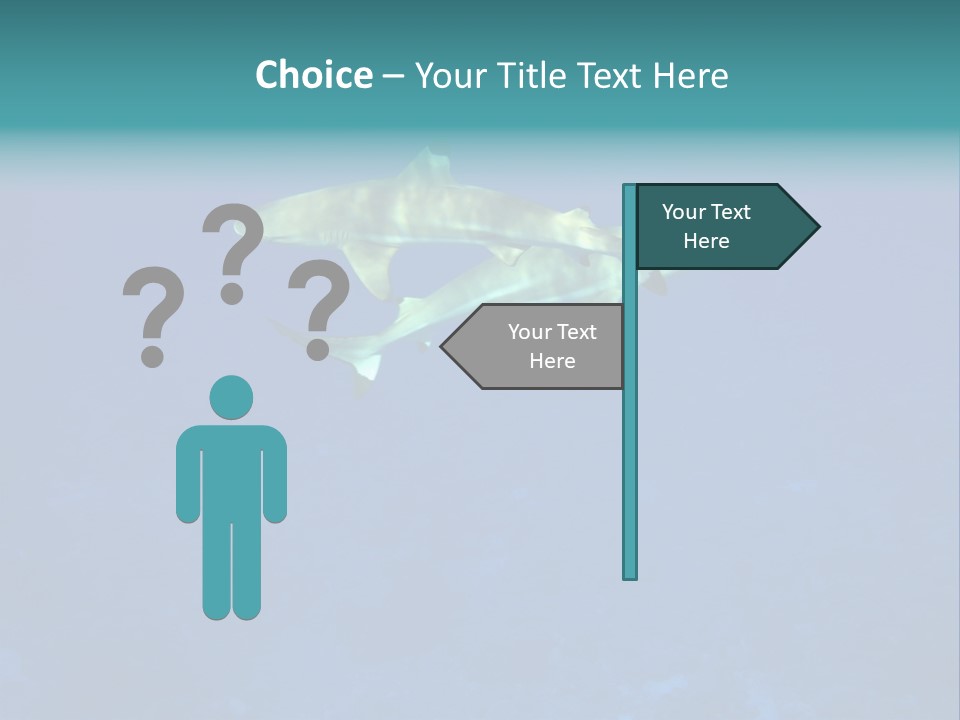 Pelagicos Azul Tiempo Libre PowerPoint Template