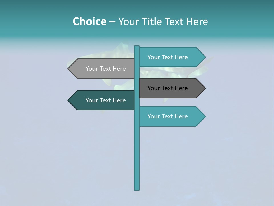 Pelagicos Azul Tiempo Libre PowerPoint Template
