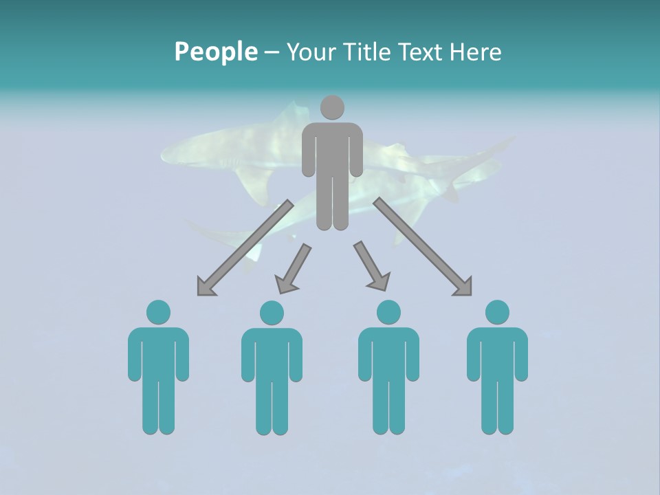 Pelagicos Azul Tiempo Libre PowerPoint Template