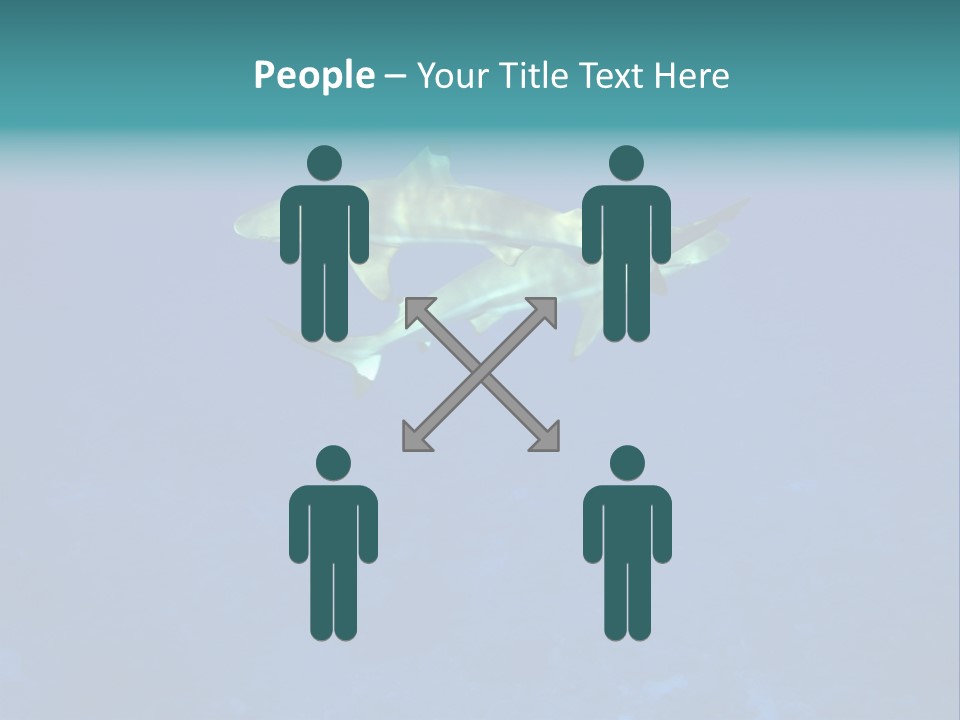 Pelagicos Azul Tiempo Libre PowerPoint Template