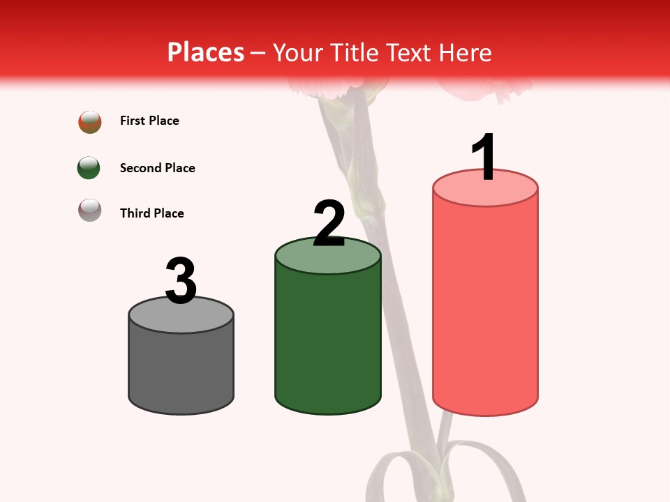 Carnations Flora Valentine S PowerPoint Template