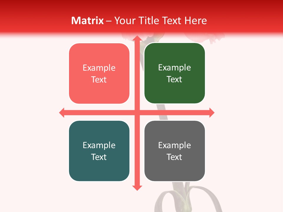 Carnations Flora Valentine S PowerPoint Template