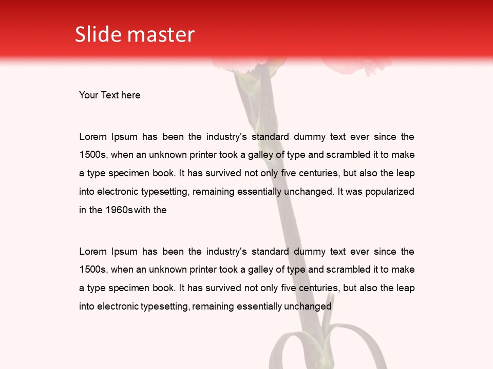 Carnations Flora Valentine S PowerPoint Template