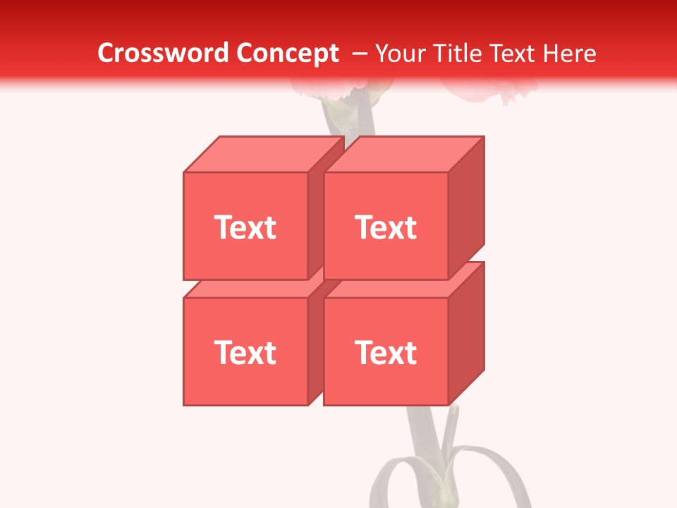 Carnations Flora Valentine S PowerPoint Template