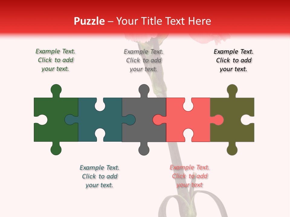 Carnations Flora Valentine S PowerPoint Template