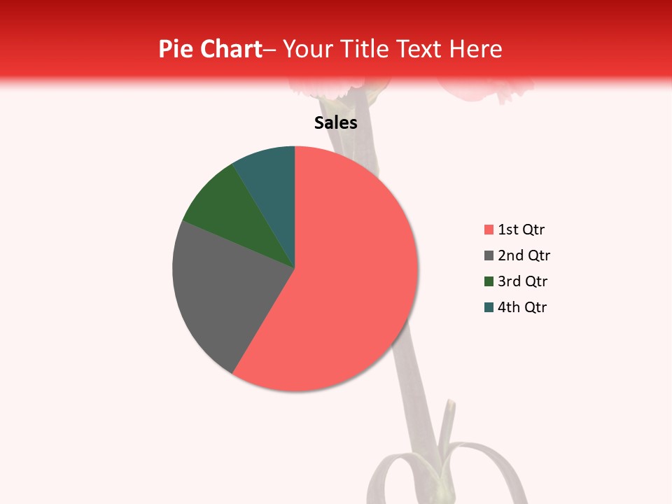 Carnations Flora Valentine S PowerPoint Template