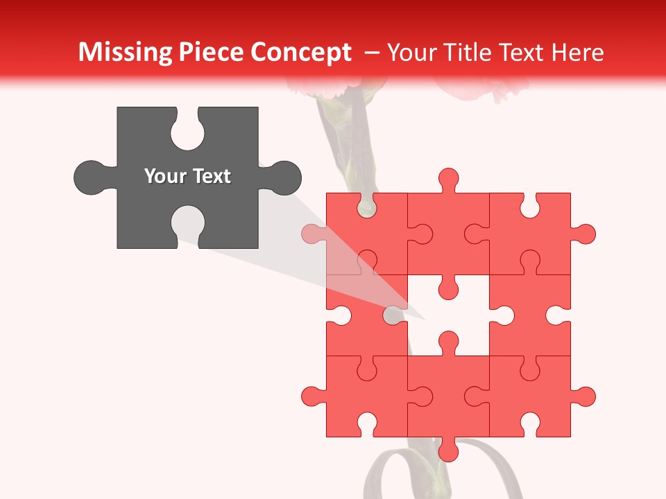 Carnations Flora Valentine S PowerPoint Template