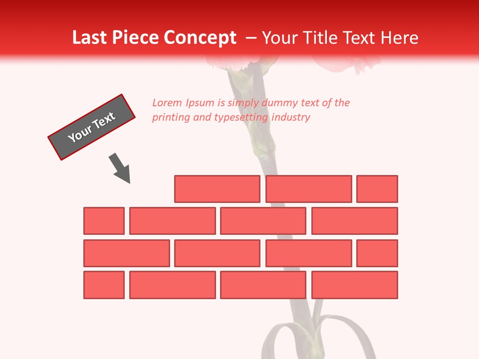 Carnations Flora Valentine S PowerPoint Template