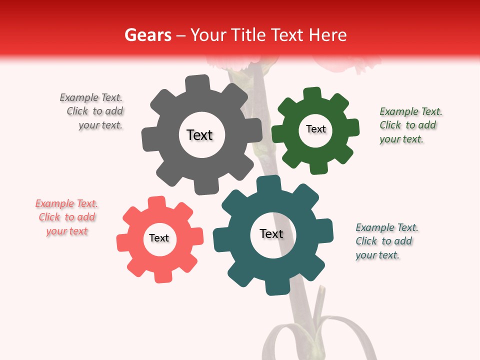 Carnations Flora Valentine S PowerPoint Template