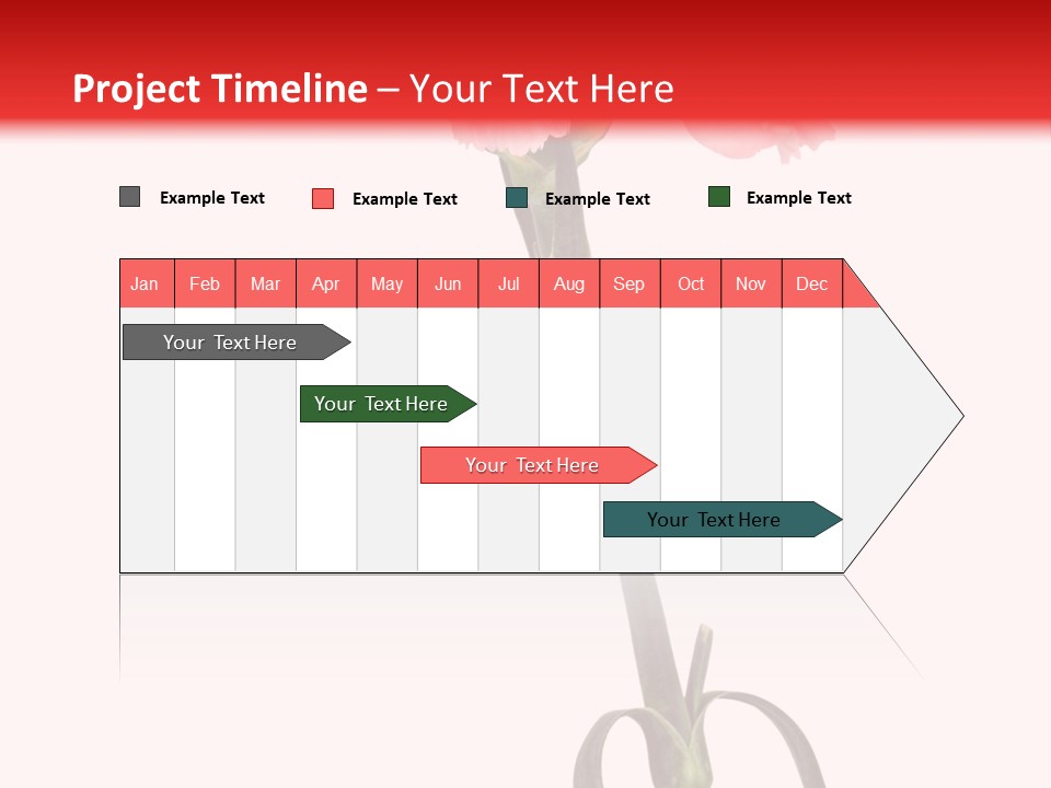 Carnations Flora Valentine S PowerPoint Template