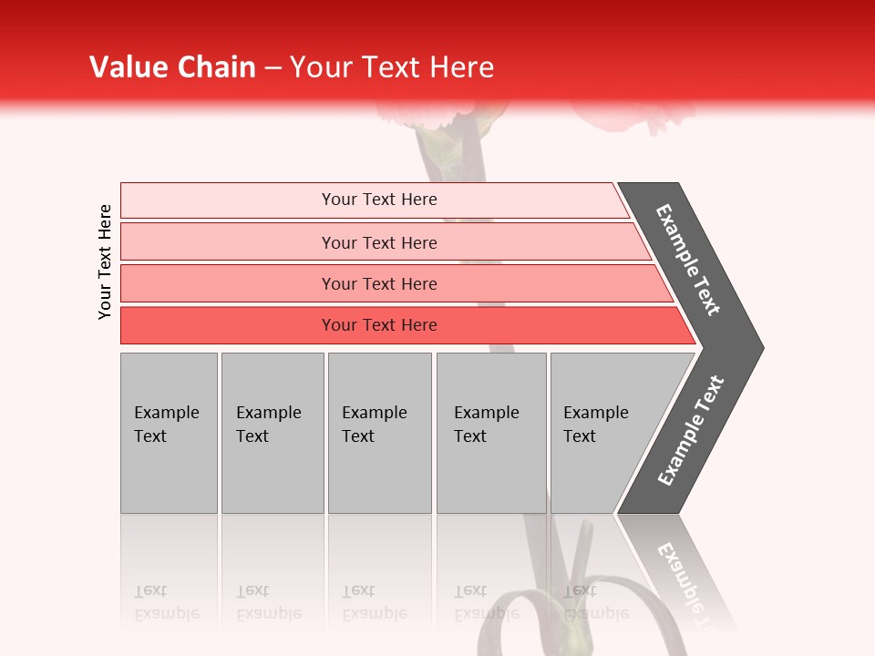 Carnations Flora Valentine S PowerPoint Template