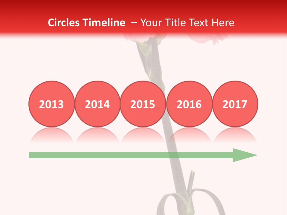 Carnations Flora Valentine S PowerPoint Template