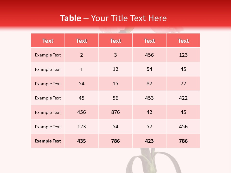 Carnations Flora Valentine S PowerPoint Template