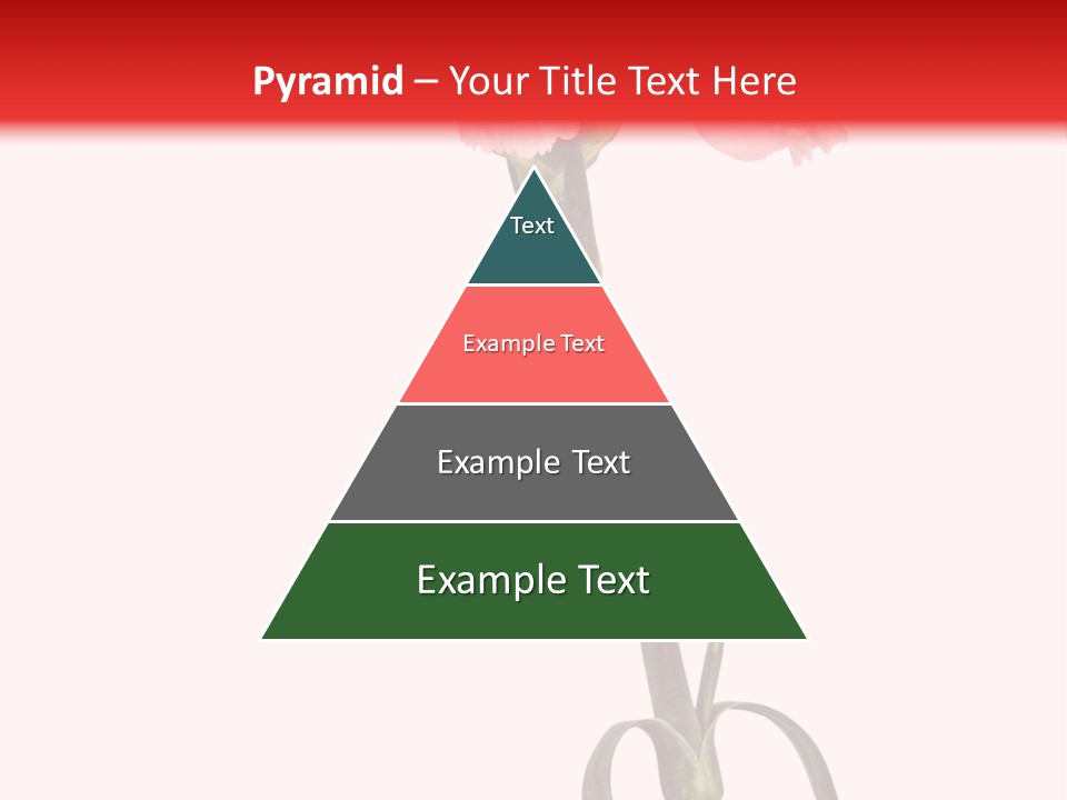 Carnations Flora Valentine S PowerPoint Template