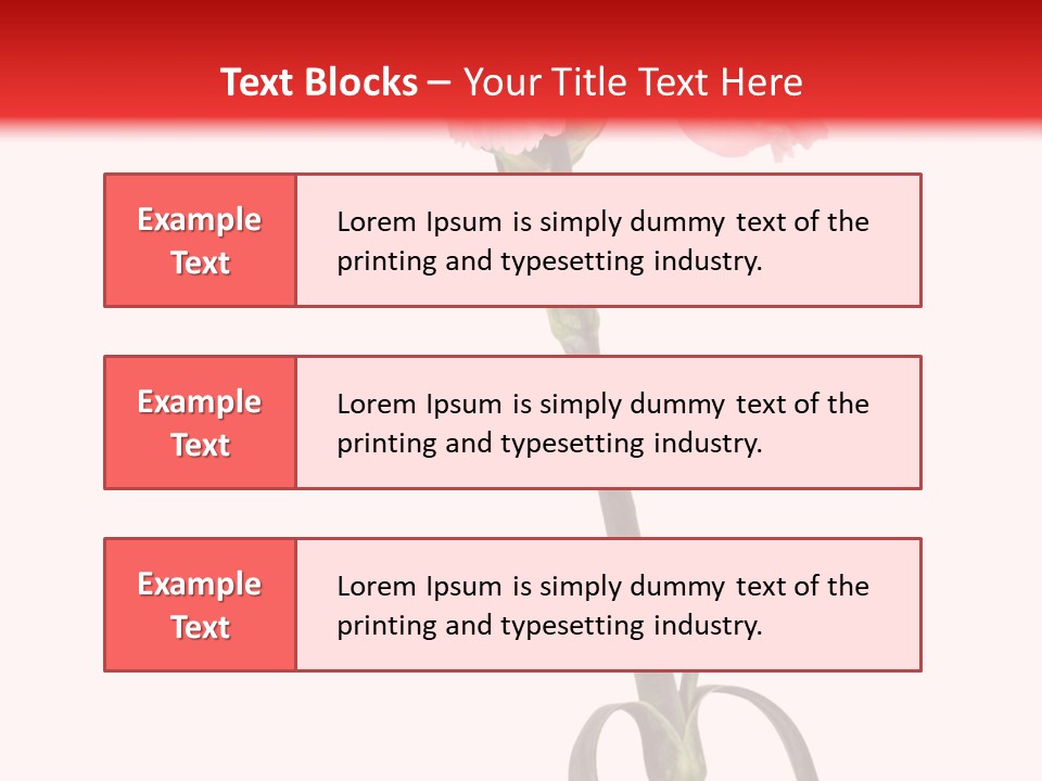 Carnations Flora Valentine S PowerPoint Template