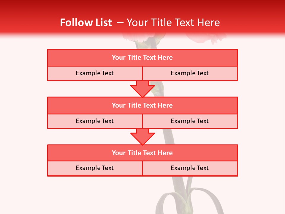 Carnations Flora Valentine S PowerPoint Template