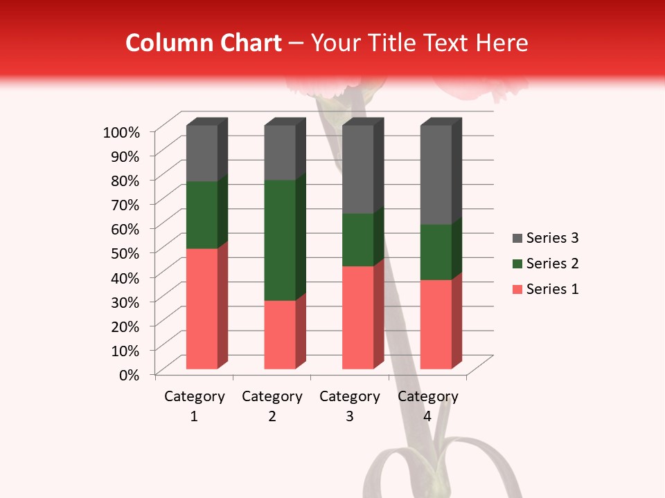 Carnations Flora Valentine S PowerPoint Template