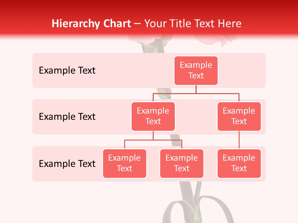 Carnations Flora Valentine S PowerPoint Template