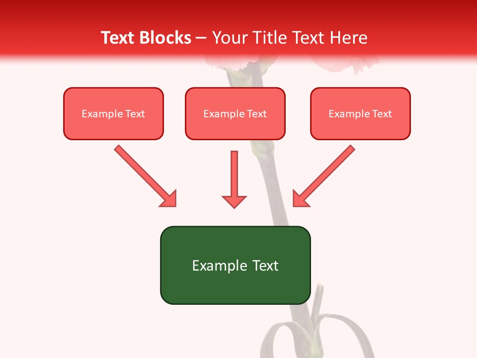 Carnations Flora Valentine S PowerPoint Template