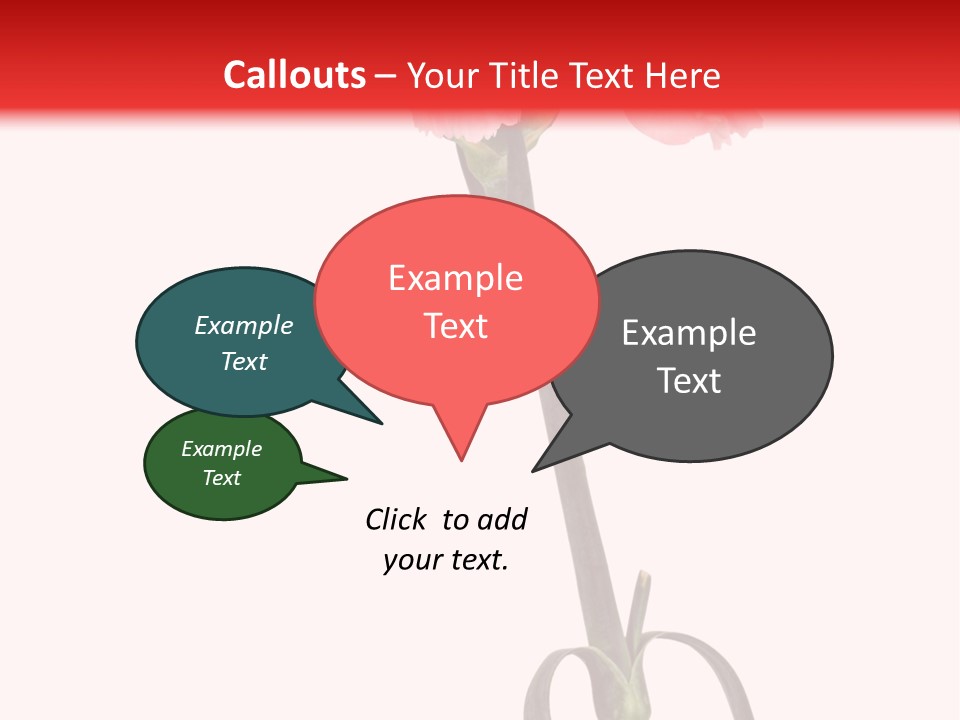 Carnations Flora Valentine S PowerPoint Template