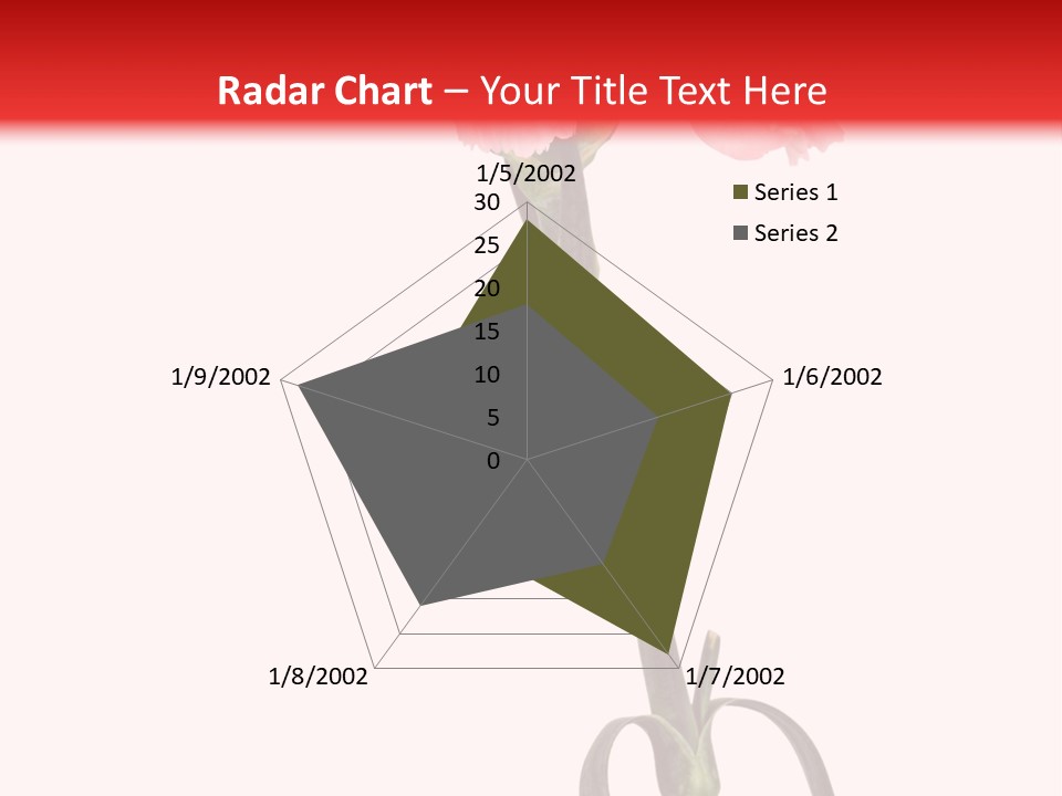 Carnations Flora Valentine S PowerPoint Template