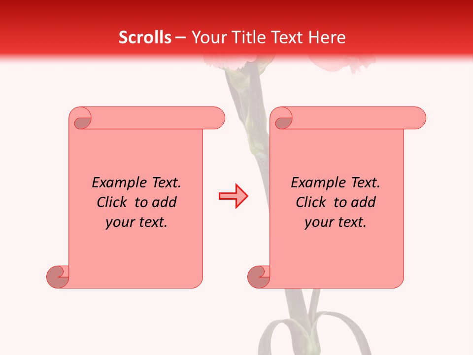Carnations Flora Valentine S PowerPoint Template