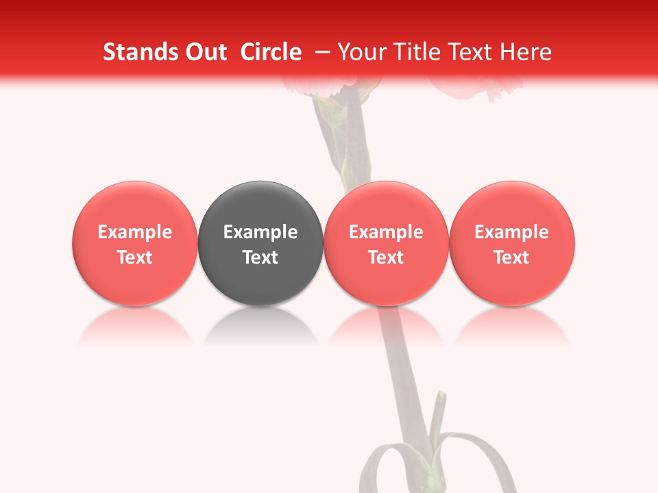 Carnations Flora Valentine S PowerPoint Template