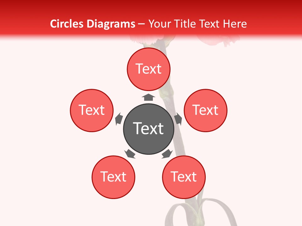 Carnations Flora Valentine S PowerPoint Template