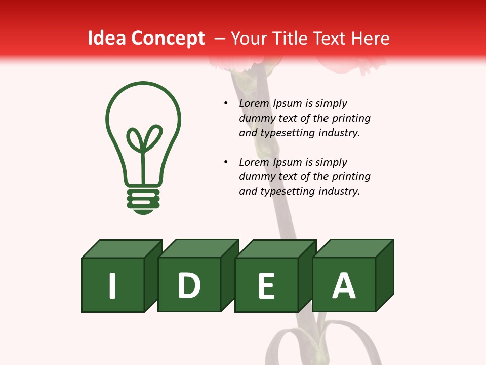 Carnations Flora Valentine S PowerPoint Template