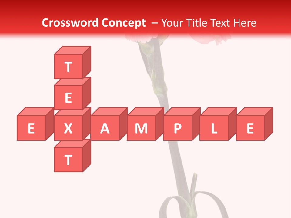 Carnations Flora Valentine S PowerPoint Template