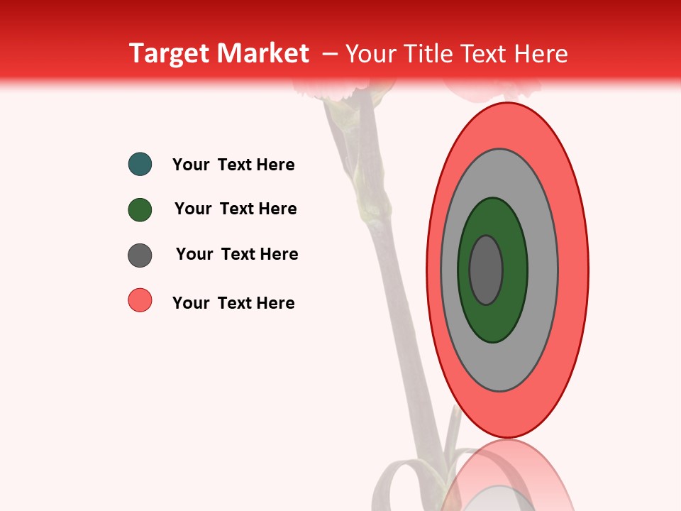 Carnations Flora Valentine S PowerPoint Template