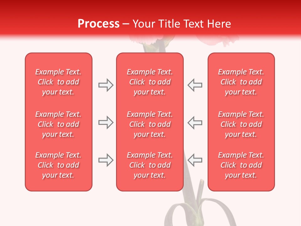 Carnations Flora Valentine S PowerPoint Template