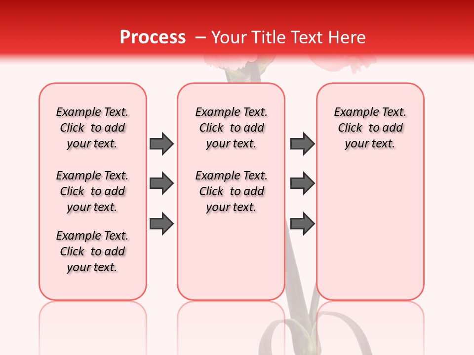 Carnations Flora Valentine S PowerPoint Template