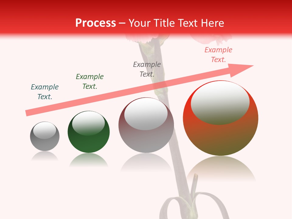 Carnations Flora Valentine S PowerPoint Template