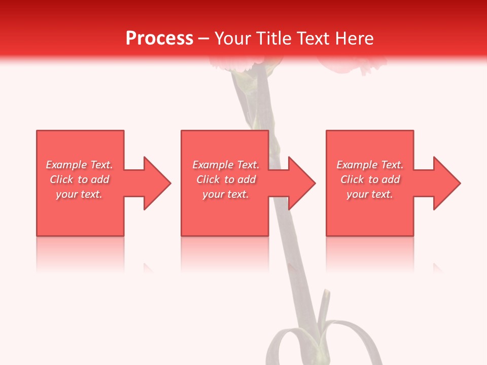 Carnations Flora Valentine S PowerPoint Template