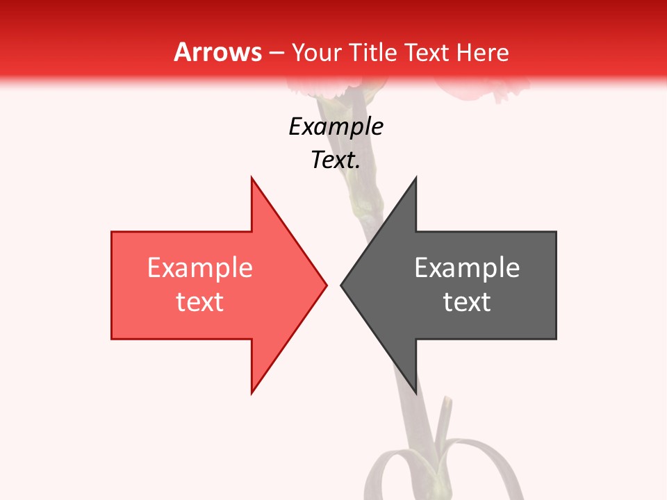 Carnations Flora Valentine S PowerPoint Template