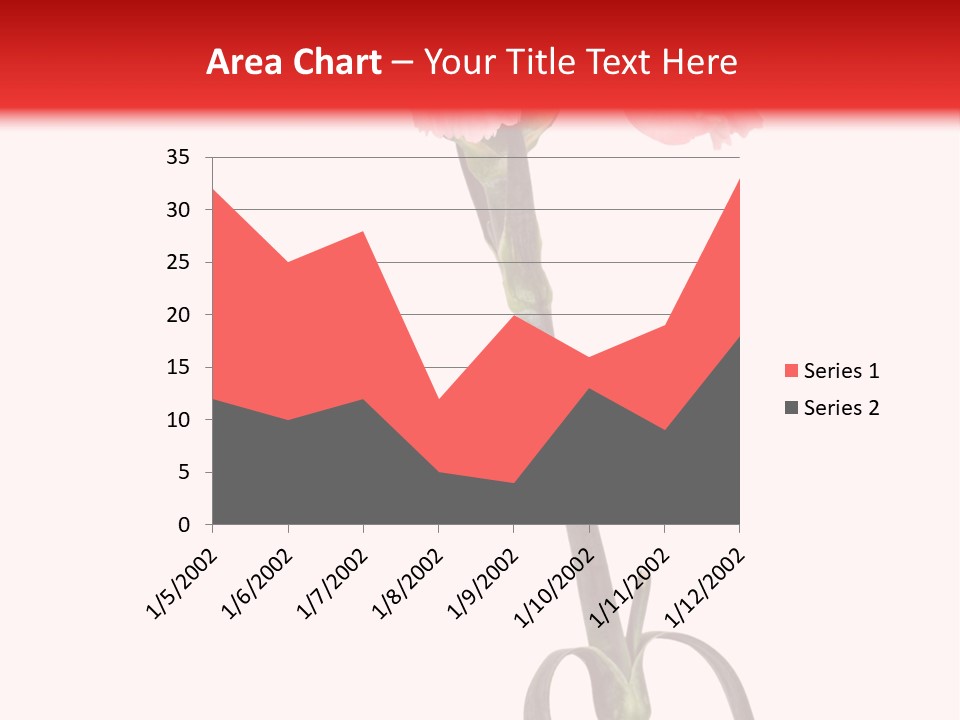 Carnations Flora Valentine S PowerPoint Template