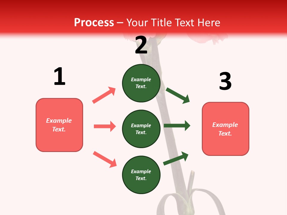 Carnations Flora Valentine S PowerPoint Template