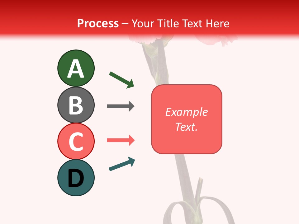 Carnations Flora Valentine S PowerPoint Template