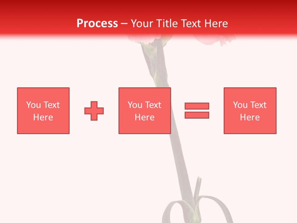 Carnations Flora Valentine S PowerPoint Template