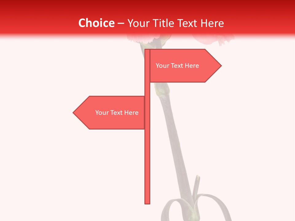 Carnations Flora Valentine S PowerPoint Template