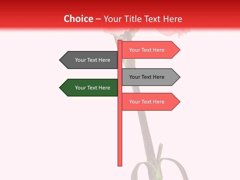 Carnations Flora Valentine S PowerPoint Template