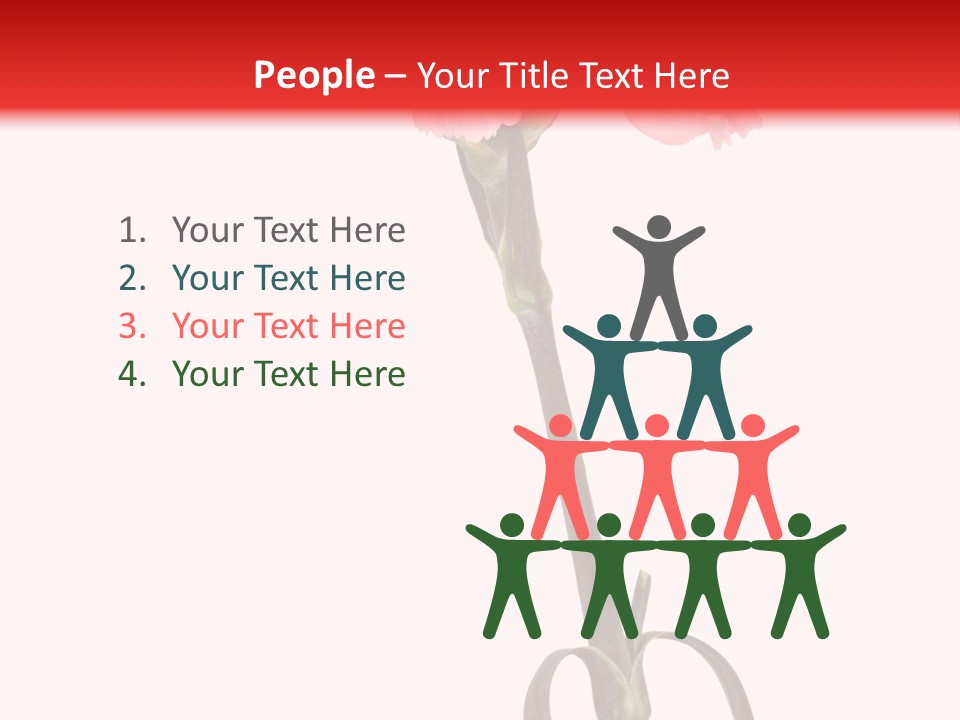 Carnations Flora Valentine S PowerPoint Template