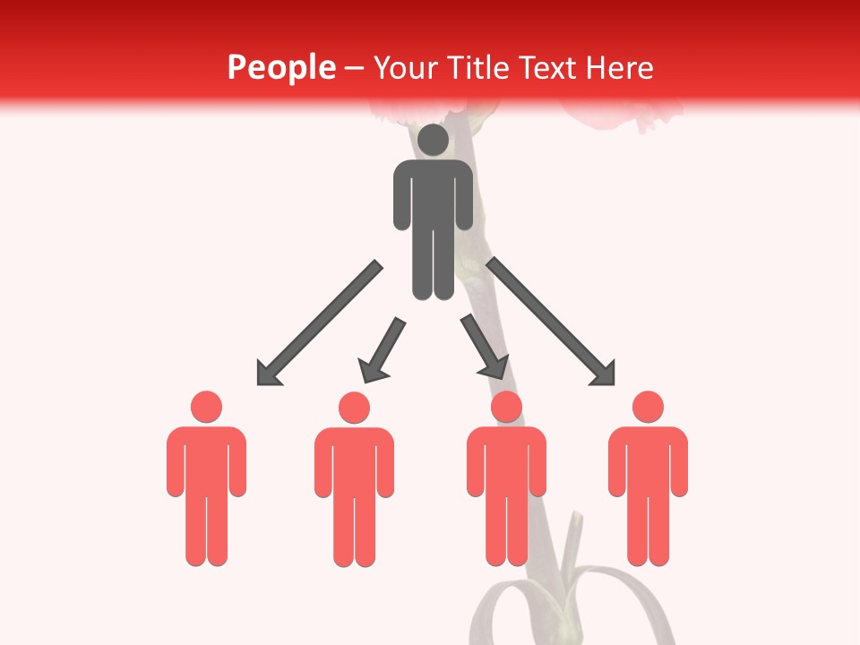 Carnations Flora Valentine S PowerPoint Template