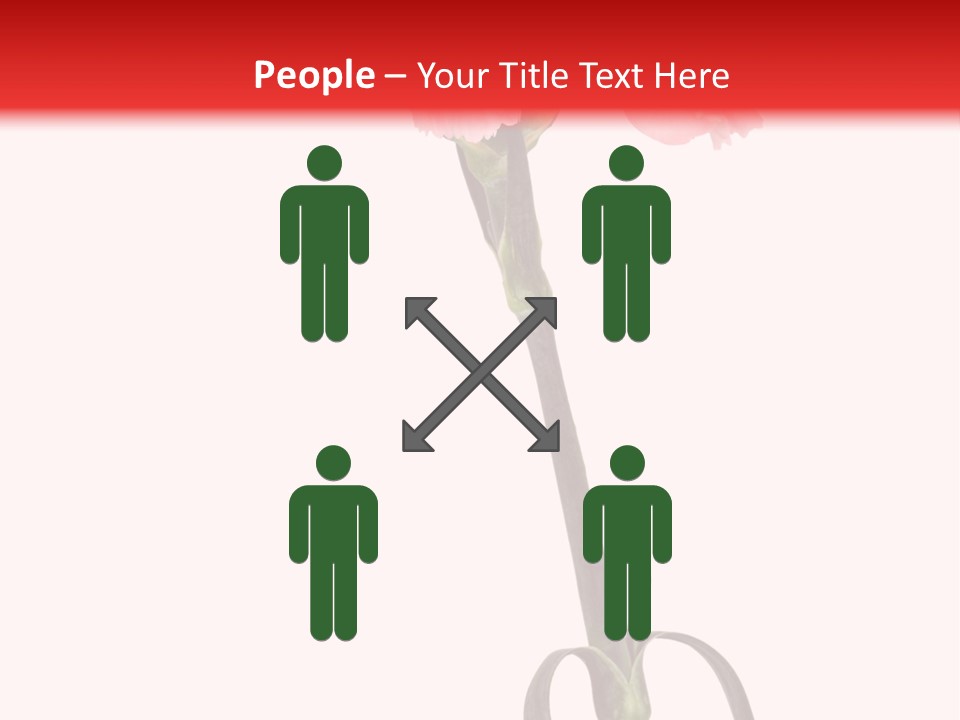 Carnations Flora Valentine S PowerPoint Template