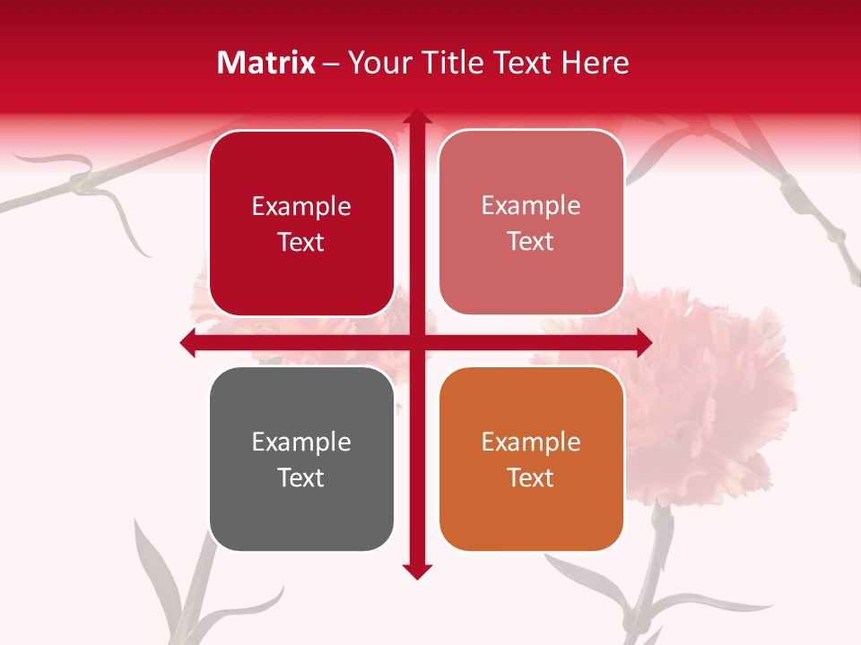 Set White Background Beauty PowerPoint Template