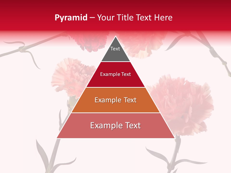 Set White Background Beauty PowerPoint Template