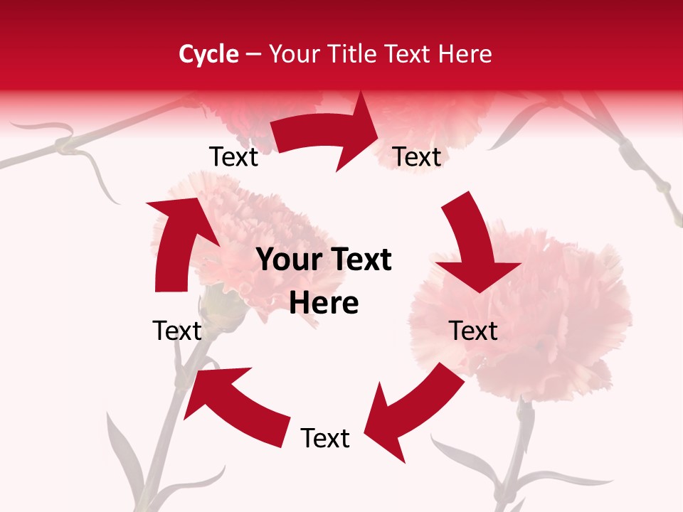 Set White Background Beauty PowerPoint Template